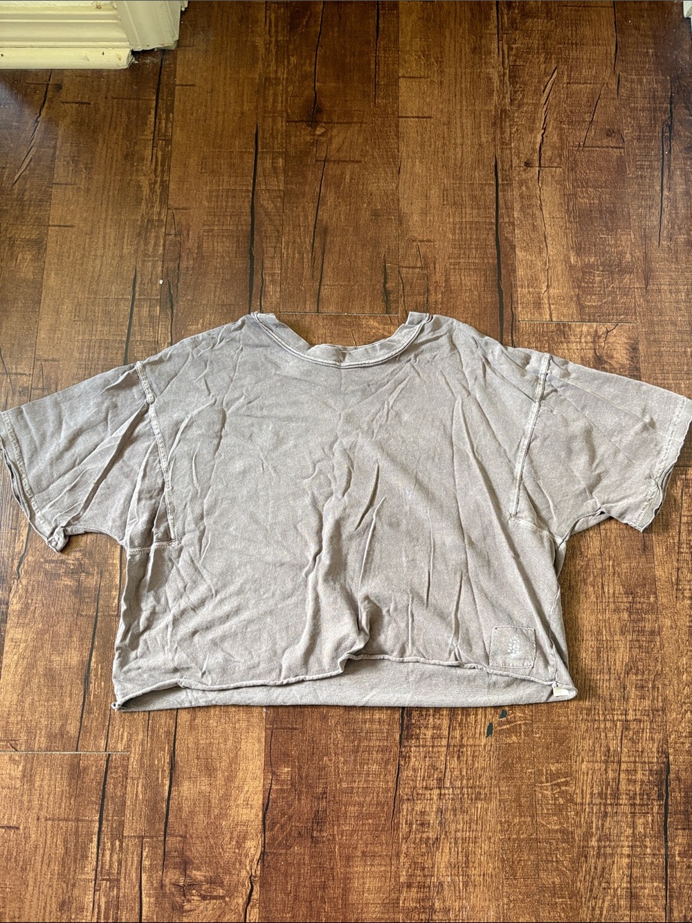 Free People Boxy Crop Tee in Light Taupe
